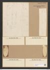 Amphiprora lepidoptera var. quarnerensis Grun. (de-Toni-Nr.: Genus 29, Species 1307) Zeichnungen Sammlung Grunow Nr. 2514 (NHMW-BOT-W0369681)